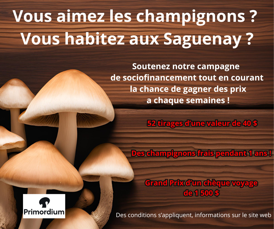 Première livraison(pré-vente)