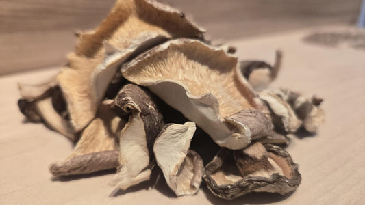Shiitake déshydraté AAA