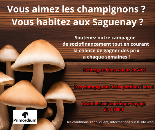 Première livraison(pré-vente)